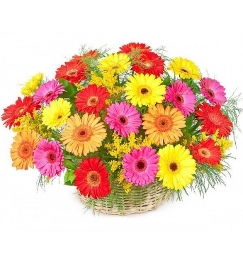 Корзина из 31 герберы